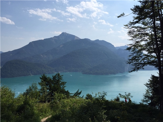 余教授奧地利鄉村行：萬(wàn)科為什么說(shuō)把奧地利小鎮搬回來(lái)？
