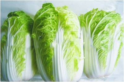 #微肥課堂#白菜類(lèi)蔬菜對哪些營(yíng)養元素敏感？