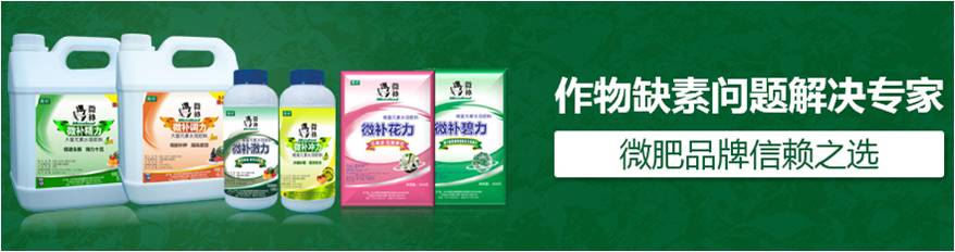 #微肥課堂#為什么葉面肥養分含量相同，效果卻不同？