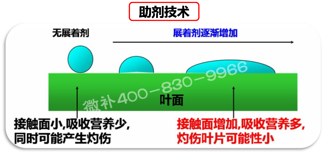 余教授德國鄉村行：我在德國為什么不會(huì )點(diǎn)啤酒了？