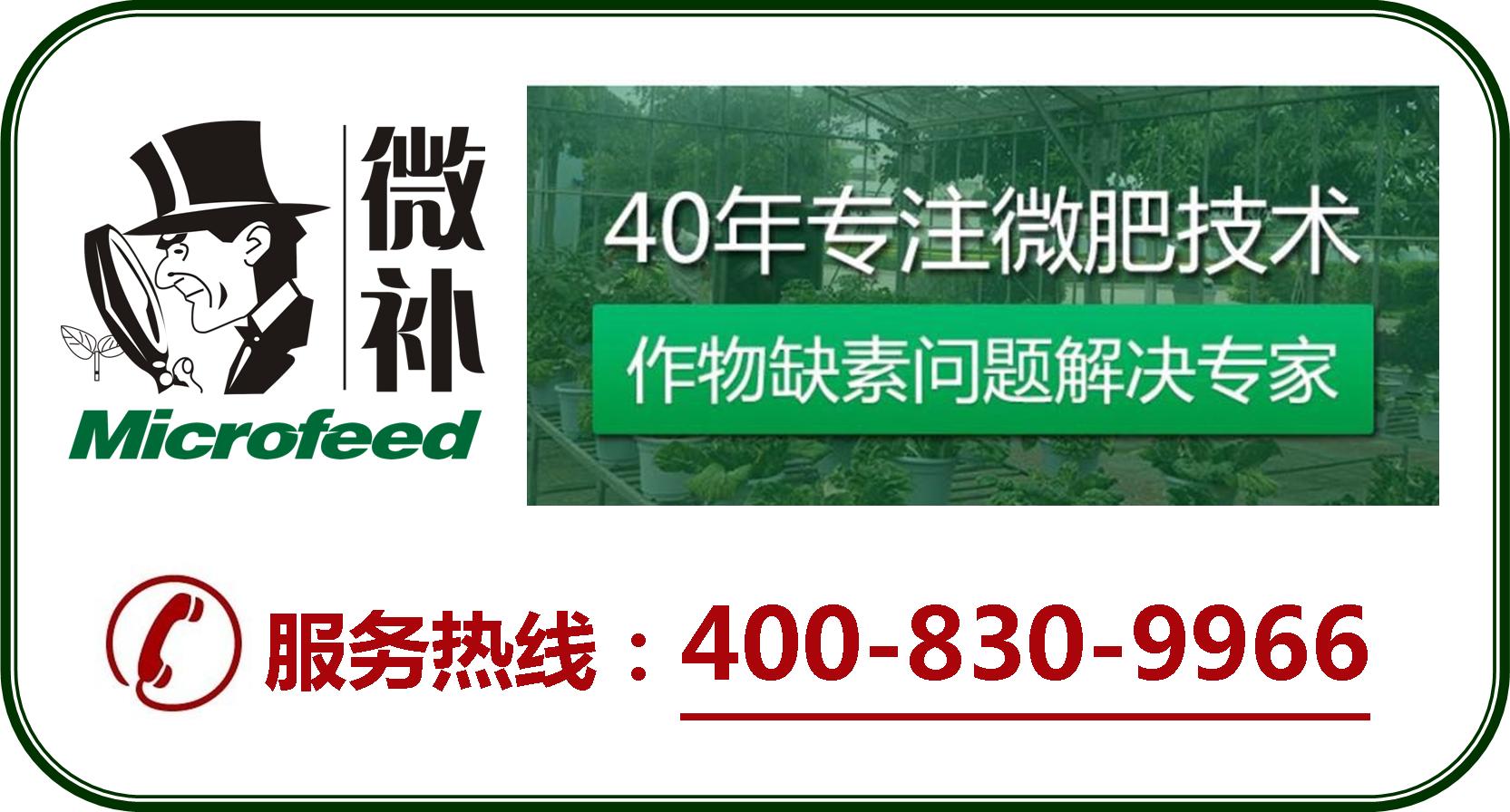 余教授德國鄉村行：摩澤爾河的葡萄魅力在哪兒？