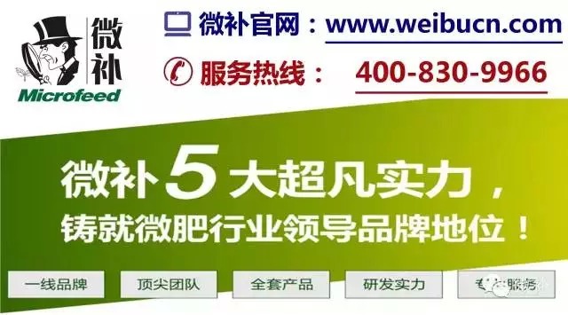 余教授奧地利鄉村行：萬(wàn)科為什么說(shuō)把奧地利小鎮搬回來(lái)？