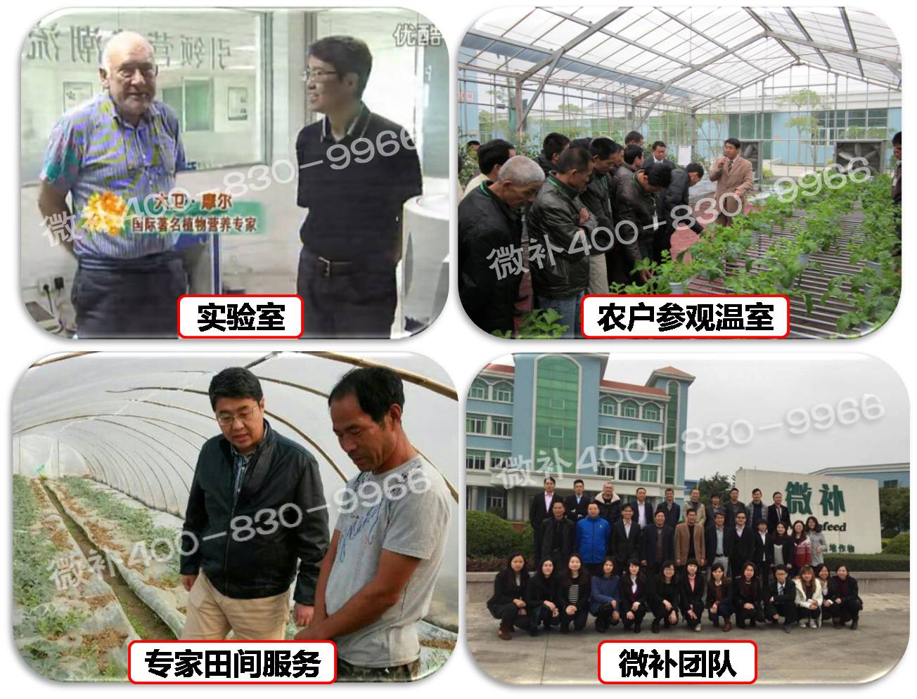 余教授奧地利維也納行：不懂音樂(lè )的農民教授，在音樂(lè )之都的感受