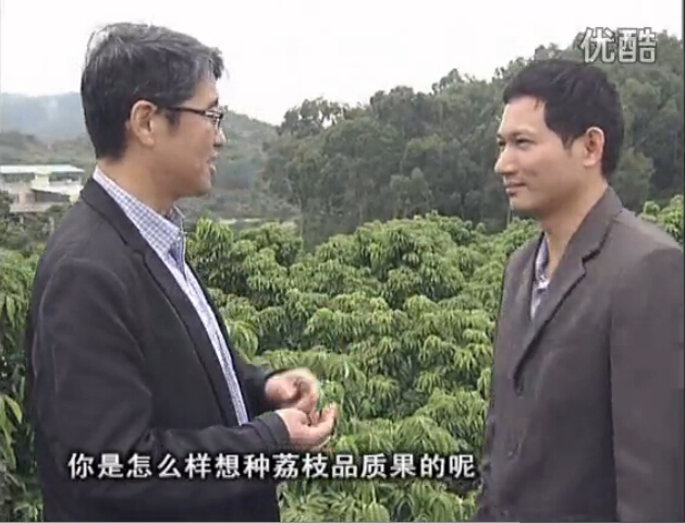 20160104珠江臺搖錢(qián)樹(shù)：補充所需微補營(yíng)養，種出品質(zhì)荔枝，提高收益賣(mài)價(jià)！