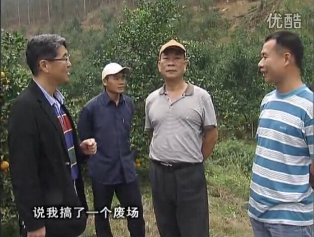 20160118珠江臺搖錢(qián)樹(shù)：貢柑用微補全年營(yíng)養方案，黃樹(shù)翻身還高產(chǎn)增果