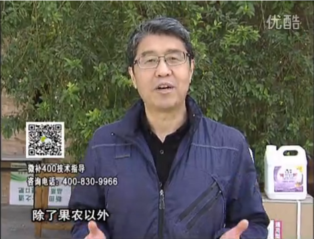 20160321珠江臺搖錢(qián)樹(shù)：柑橘用微補方案，百萬(wàn)收入不是夢(mèng)