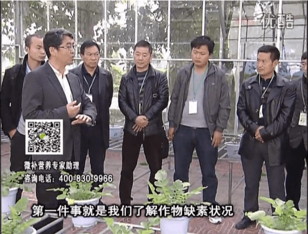 20160418珠江臺搖錢(qián)樹(shù)：和重慶種植業(yè)主走進(jìn)微補，探秘微補生產(chǎn)研發(fā)技術(shù)
