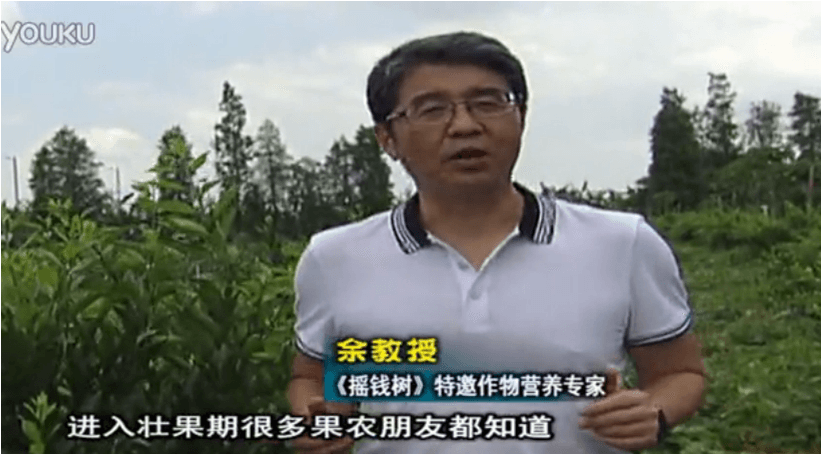20160620珠江臺搖錢(qián)樹(shù)：柑橘淋微補調力、噴蓋力+壯力，調酸壯長(cháng)勢、膨果防裂好