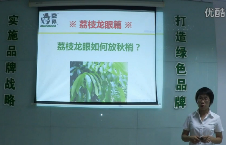 荔枝龍眼-采后樹(shù)弱、秋梢不壯怎么辦？請看微補講座