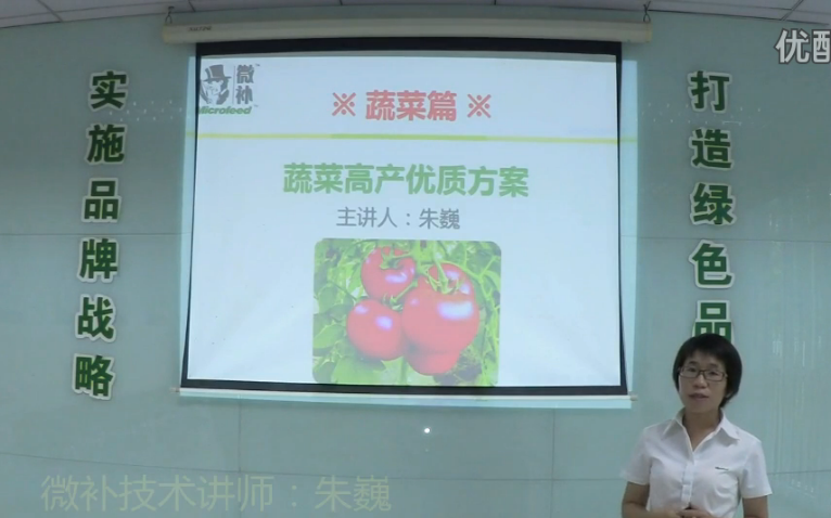 蔬菜-提苗壯長(cháng)、提高坐果高產(chǎn)方案.微補講座
