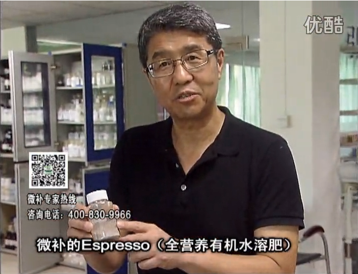 20160822珠江臺搖錢(qián)樹(shù)：柑橘秋梢淋沖因迪樂(lè )精華粉，補充有機營(yíng)養，健壯果樹(shù)