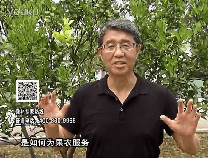 20160912珠江臺搖錢(qián)樹(shù)：針對果場(chǎng)面積、缺素營(yíng)養、設施管理、投入產(chǎn)出，微補做個(gè)性化定制服務(wù)