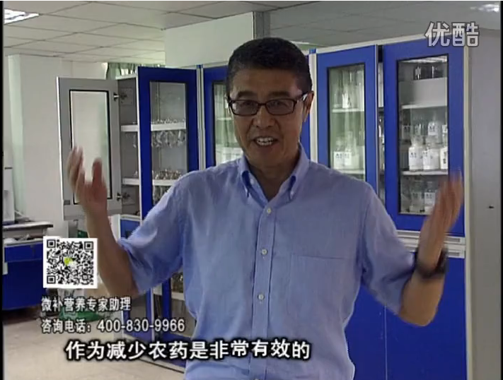 20161024珠江臺搖錢(qián)樹(shù)：種植作物調酸、平衡營(yíng)養、提高抗病力能大大降低病害發(fā)生和農藥使用量