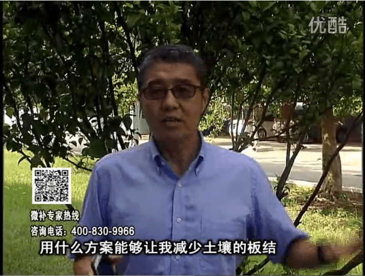 20161031珠江臺搖錢(qián)樹(shù)：減少化肥使用量、土壤少板結有辦法
