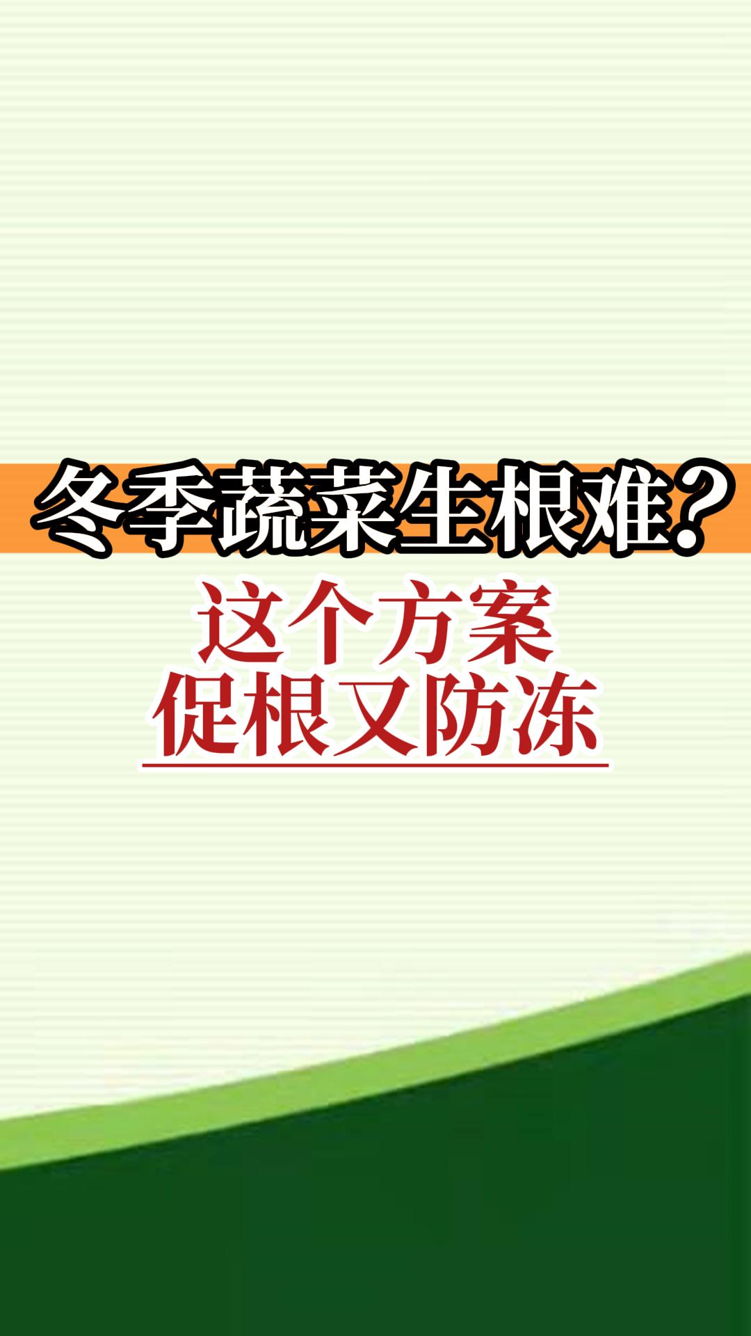 冬季蔬菜生根難？這個(gè)方案促根又防凍
