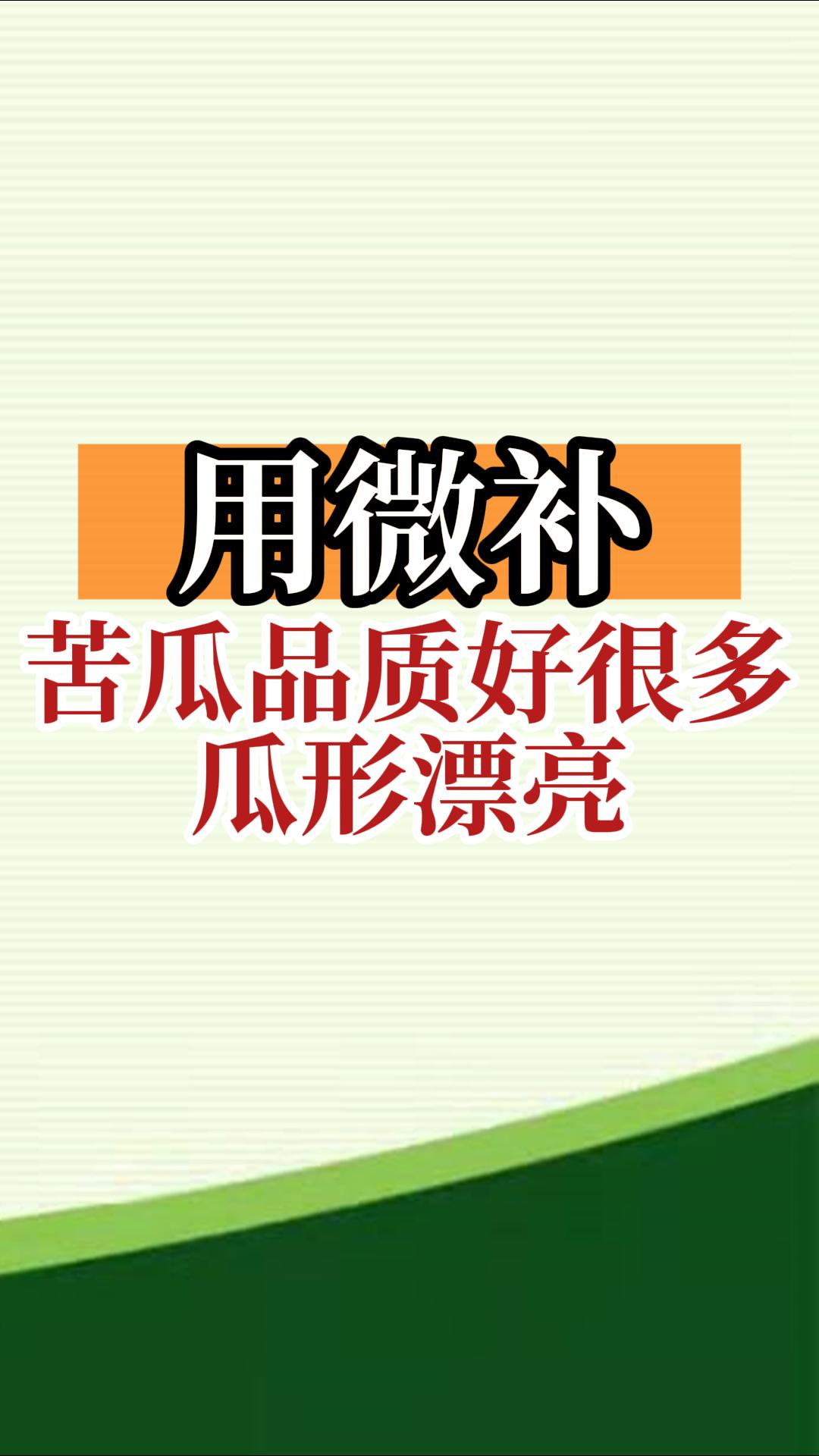用微補(bǔ)，苦瓜品質(zhì)好很多，瓜形漂亮