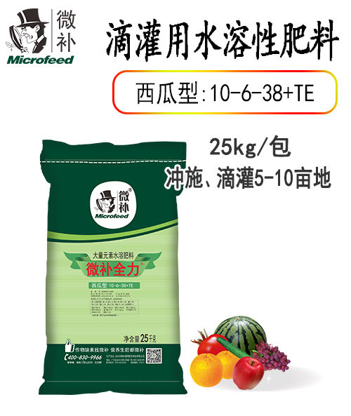 微補全力西瓜型10-6-38