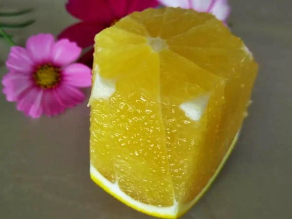 震驚！施秋肥還會影響果實賣價？