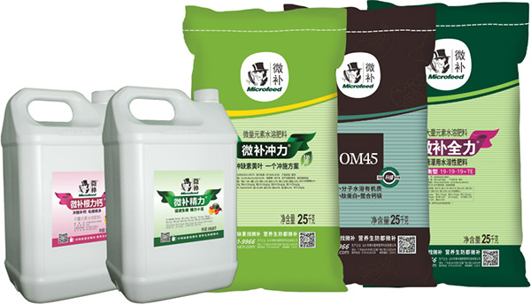 蔬菜秋季管理攻略