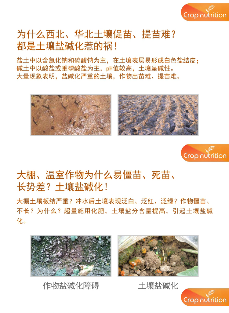 因迪樂水溶肥5-35-10