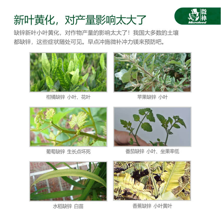 微補(bǔ)沖力鎂