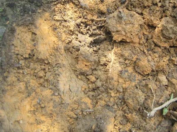 微補(bǔ)三級火箭方案有如此神奇功效？