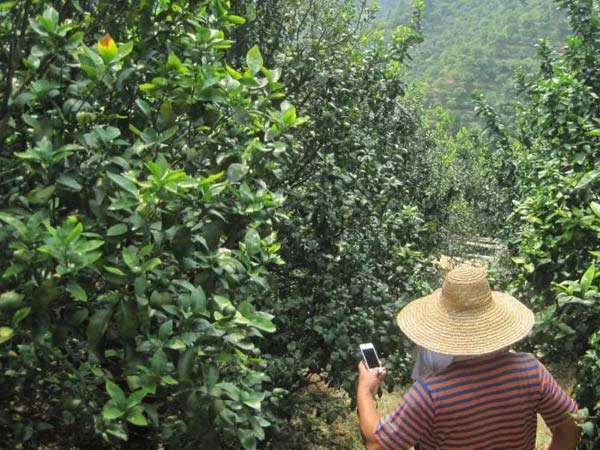 微補(bǔ)三級火箭方案有如此神奇功效？