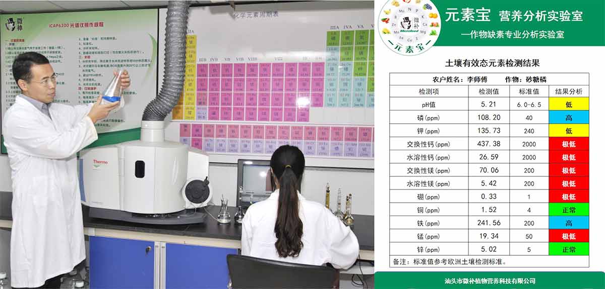 微補(bǔ)簡(jiǎn)介