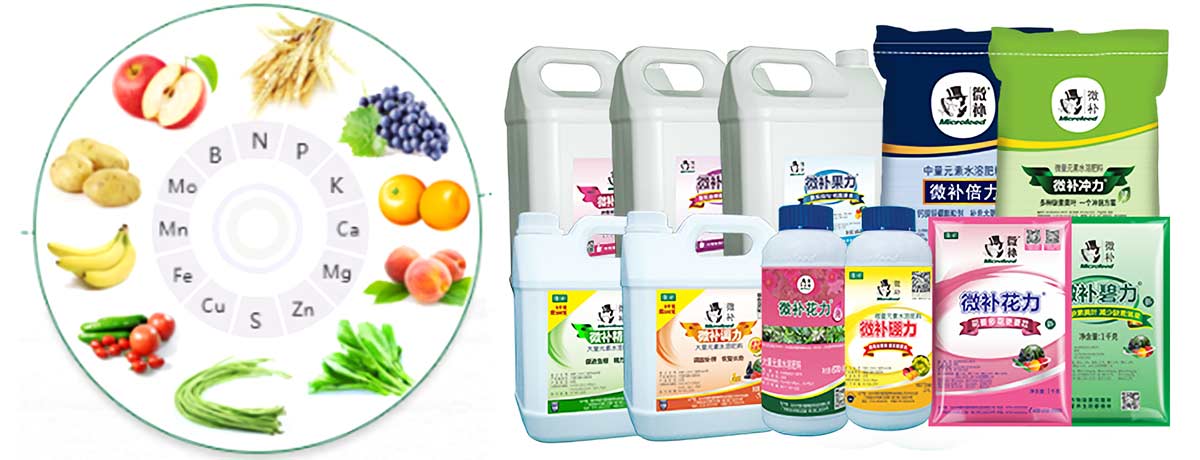 微補(bǔ)簡(jiǎn)介