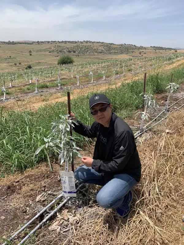 深度思考：我們到底應(yīng)該向以色列農(nóng)業(yè)學(xué)習(xí)什么？