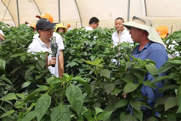 深度思考：我們到底應(yīng)該向以色列農(nóng)業(yè)學(xué)習(xí)什么？